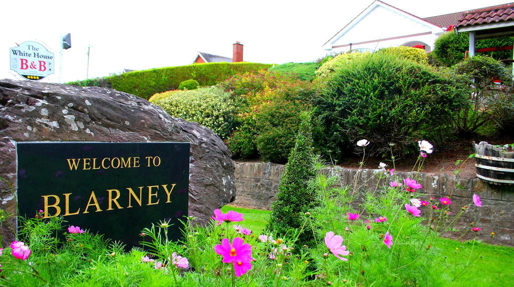 The White House B&B Cork Exterior foto