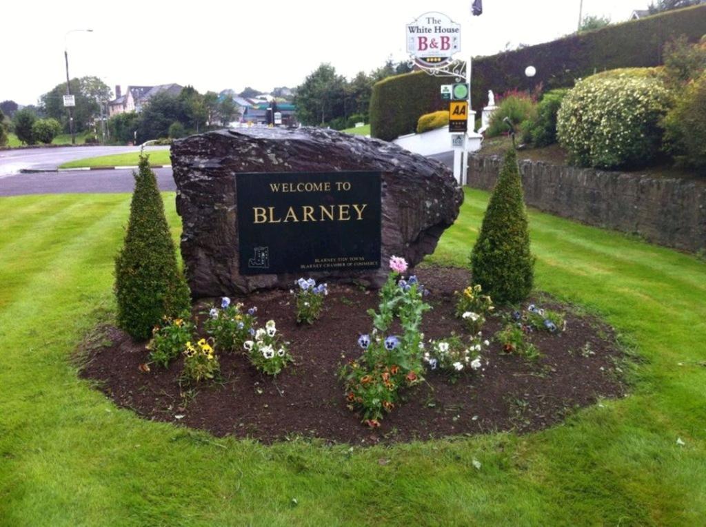 The White House B&B Cork Exterior foto
